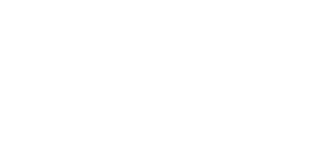 pioneer logo white